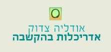 אודליה אדריכלית
